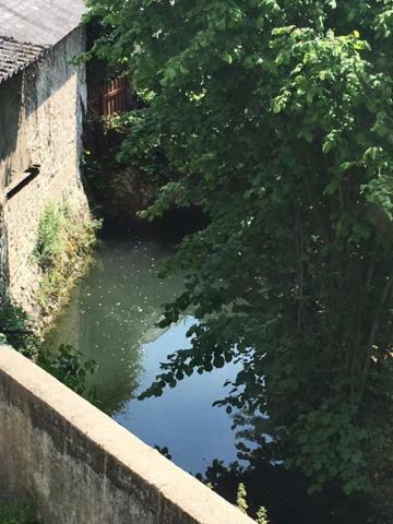 Gite De La Petite Masse Amboise Exterior foto